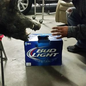 Meet your Posher, Philip